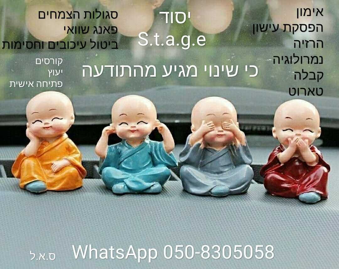 טובי ביר
